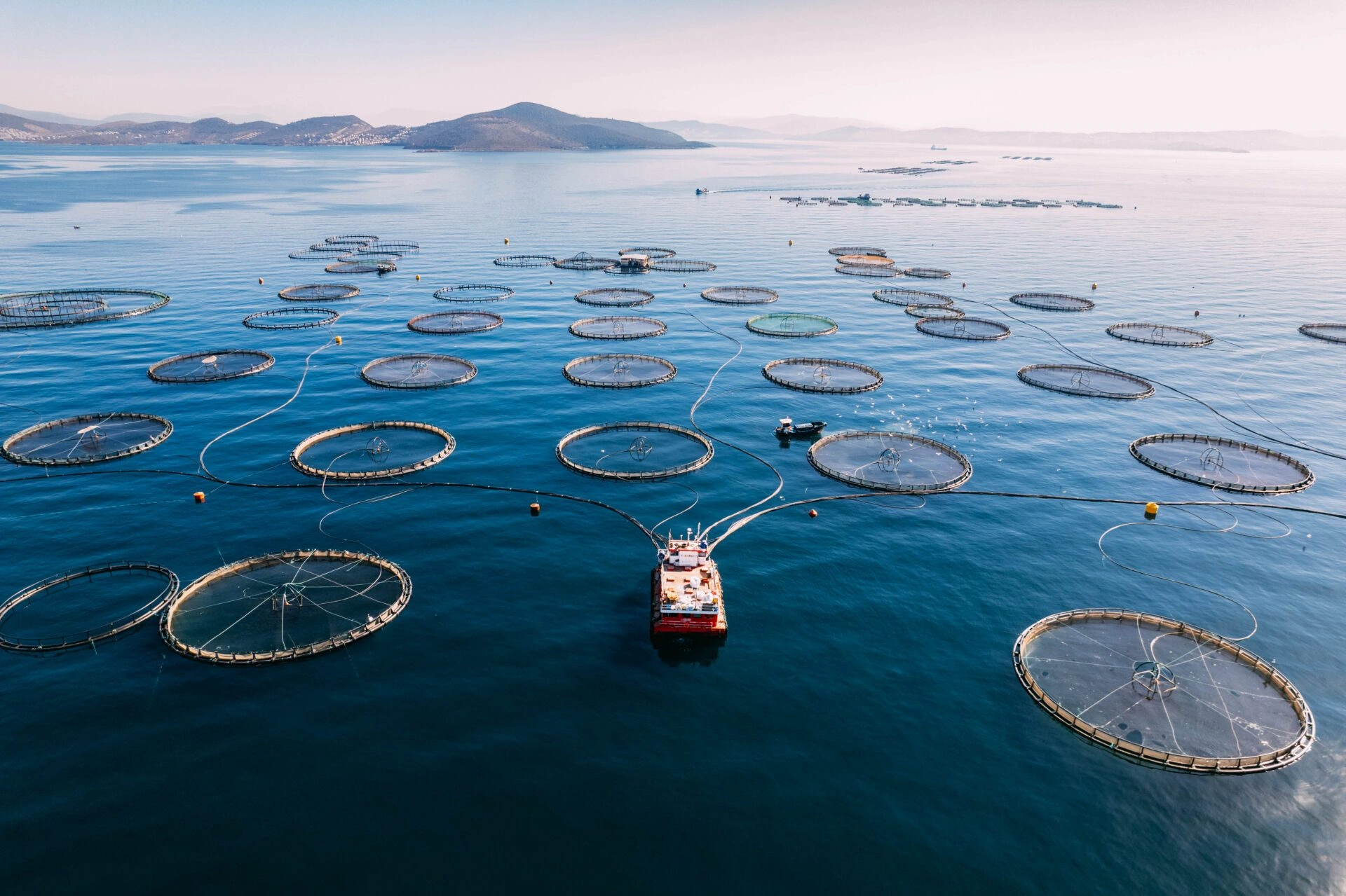 Industries_Aquaculture